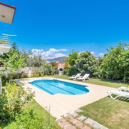 וילה Dolphin Villa *